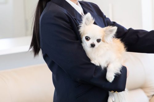 20250513都築育英学園視察 028